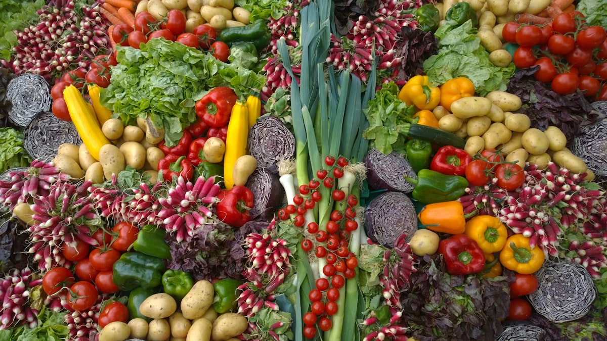 Guide nutritionnel pour une alimentation saine